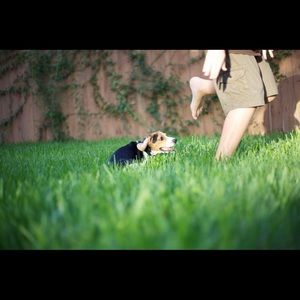 Meet your Posher, Marsha